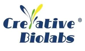 Creative Biolabs Expands Lipid Delivery Services for Advanced Therapeutics